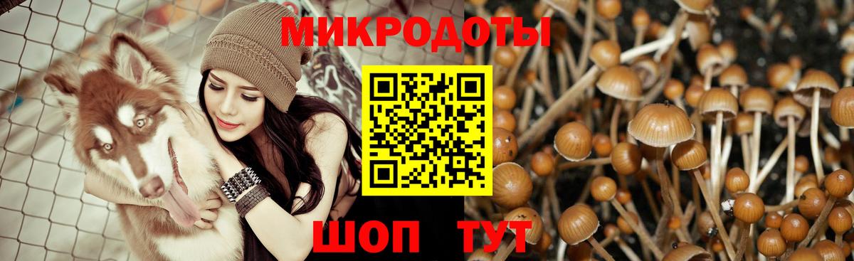 Галлюциногенные грибы прущие грибы Нижнекамск